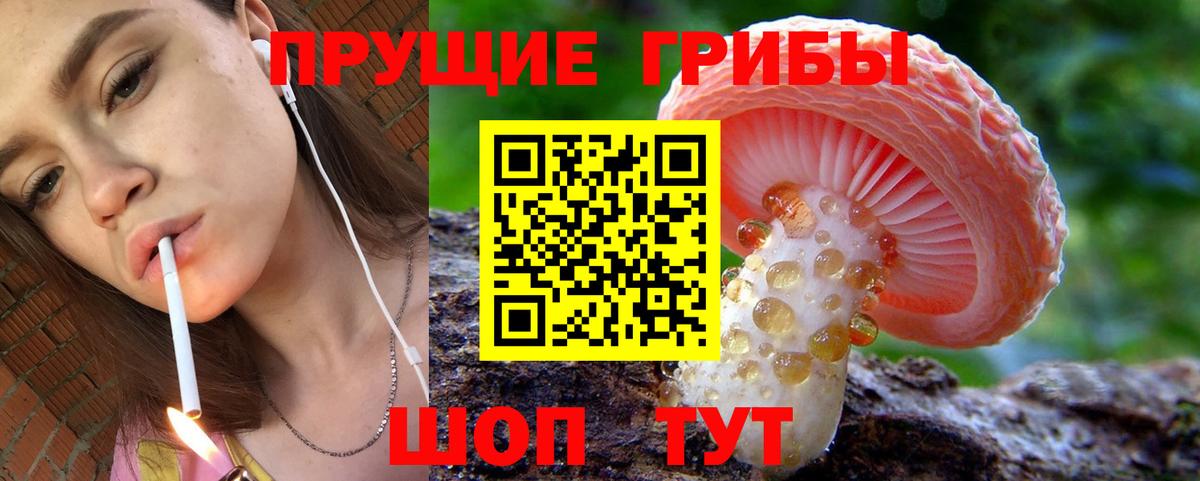 Галлюциногенные грибы прущие грибы Кандалакша