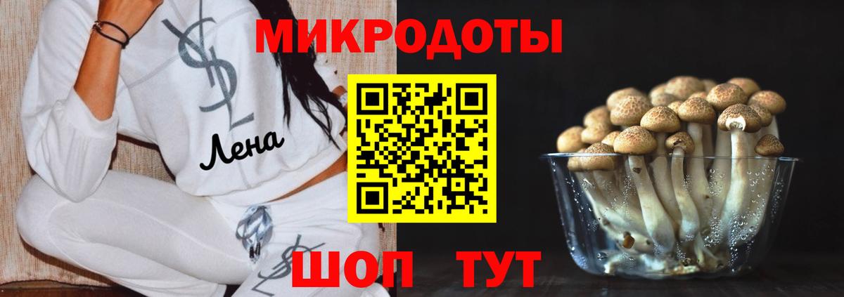 Кандалакша  Псилоцибиновые грибы прущие грибы  Вход с VPN 